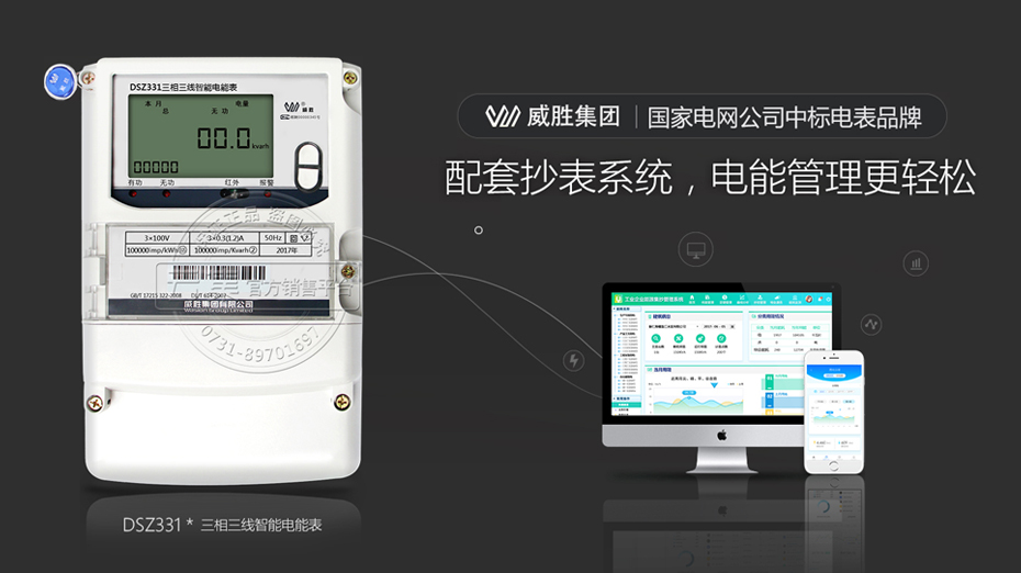 ����DSZ331������������늱�