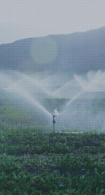 �r(n��ng)����